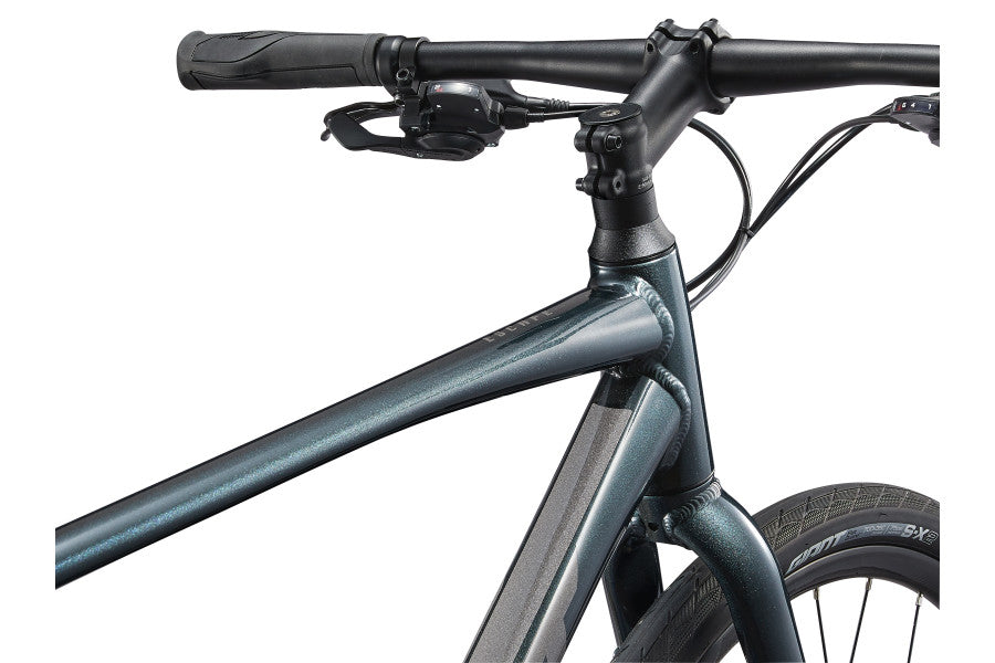 Giant Escape 2 Disc Medium — Asphalt Green