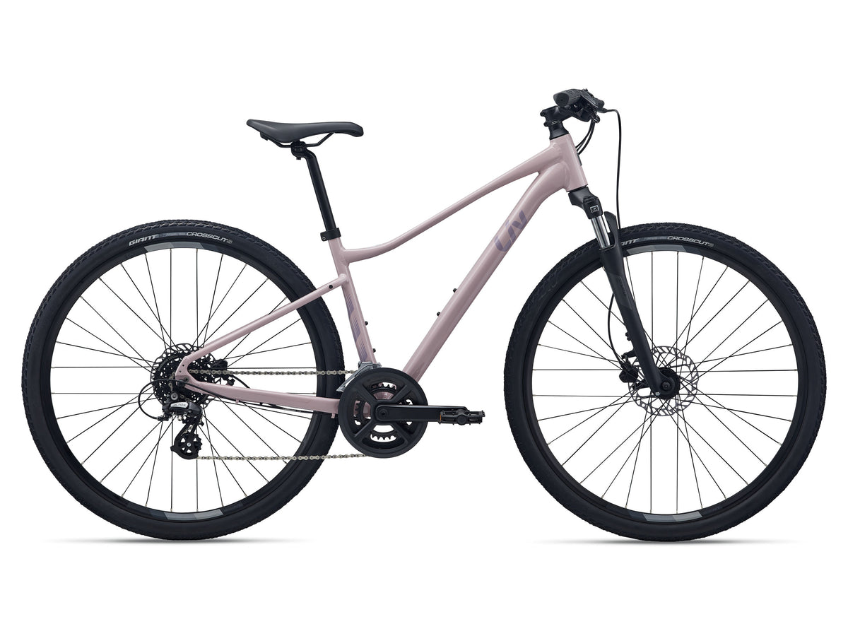 Liv Rove 4 adventure gravel bike, X-Small, Rosy Brown